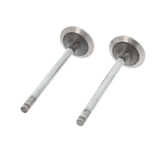 Einlassventil Einlassseite CORTECO 550252B Bild Einlassventil Einlassseite CORTECO 550252B