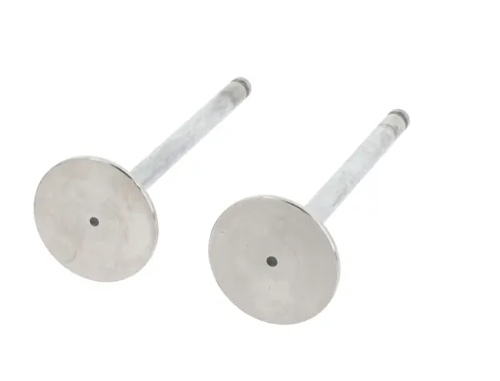 Einlassventil Einlassseite CORTECO 550252B Bild Einlassventil Einlassseite CORTECO 550252B