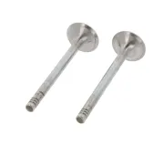 Auslassventil abgasseitig CORTECO 550768B