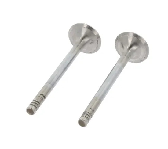 Auslassventil abgasseitig CORTECO 550768B Bild Auslassventil abgasseitig CORTECO 550768B