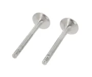 Auslassventil abgasseitig CORTECO 550840B