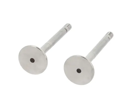 Auslassventil abgasseitig CORTECO 550840B Bild Auslassventil abgasseitig CORTECO 550840B