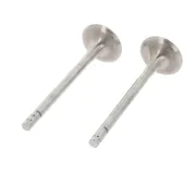 Auslassventil abgasseitig CORTECO 550889B