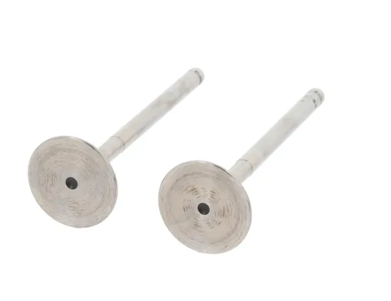 Auslassventil abgasseitig CORTECO 550889B Bild Auslassventil abgasseitig CORTECO 550889B