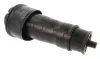 Luftfeder, Fahrwerk Hinterachse CORTECO 49430542 Bild Luftfeder, Fahrwerk Hinterachse CORTECO 49430542