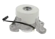 Lagerung, Motor rechts vorne CORTECO 49427527