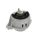 Lagerung, Motor rechts vorne CORTECO 49427514