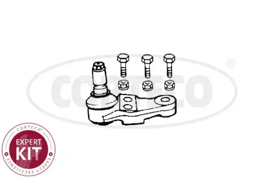 Trag-/Führungsgelenk Vorderachse rechts Vorderachse links unten CORTECO 49395705 Bild Trag-/Führungsgelenk Vorderachse rechts Vorderachse links unten CORTECO 49395705