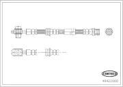 Bremsschlauch Vorderachse Vorderachse links Vorderachse rechts CORTECO 49422060