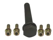 Schraubensatz, Riemenscheibe-Kurbelwelle CORTECO 80001249
