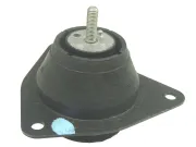 Lagerung, Motor hinten rechts CORTECO 80001467