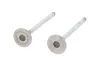 Auslassventil abgasseitig CORTECO 551148B Bild Auslassventil abgasseitig CORTECO 551148B