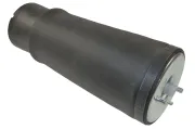 Luftfeder, Fahrwerk Hinterachse links CORTECO 49430494