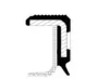 Wellendichtring, Kurbelwelle stirnseitig CORTECO 20034876B Bild Wellendichtring, Kurbelwelle stirnseitig CORTECO 20034876B