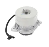 Lagerung, Motor CORTECO 49363439