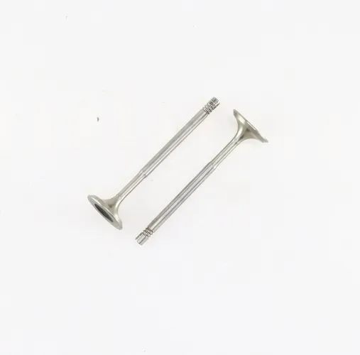 Einlassventil Einlassseite CORTECO 550323B Bild Einlassventil Einlassseite CORTECO 550323B