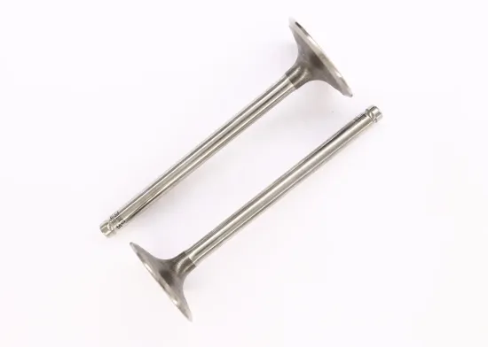 Einlassventil Einlassseite CORTECO 550888B Bild Einlassventil Einlassseite CORTECO 550888B