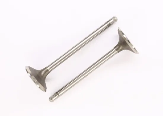 Einlassventil Einlassseite CORTECO 551241B Bild Einlassventil Einlassseite CORTECO 551241B