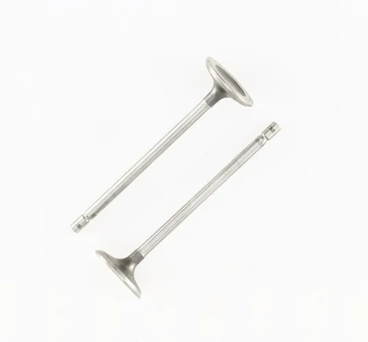 Einlassventil Einlassseite CORTECO 551723B Bild Einlassventil Einlassseite CORTECO 551723B