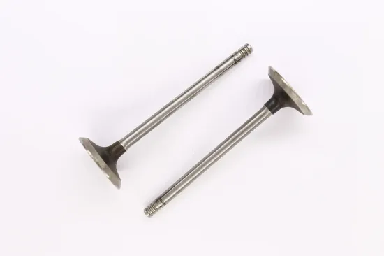 Einlassventil Einlassseite CORTECO 551867B Bild Einlassventil Einlassseite CORTECO 551867B