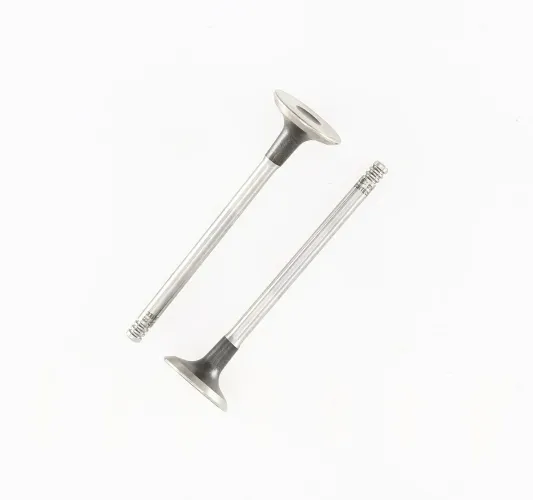 Auslassventil abgasseitig CORTECO 551868B Bild Auslassventil abgasseitig CORTECO 551868B