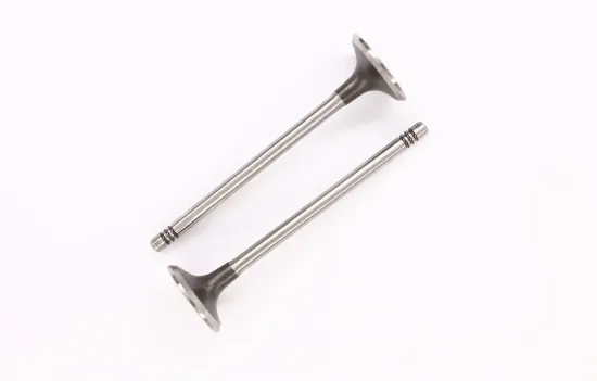 Einlassventil Einlassseite CORTECO 552159B Bild Einlassventil Einlassseite CORTECO 552159B