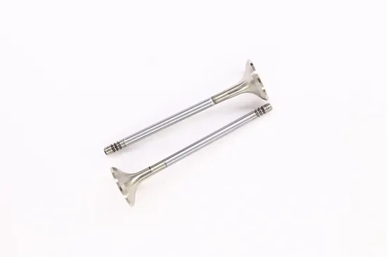 Auslassventil abgasseitig CORTECO 554029B Bild Auslassventil abgasseitig CORTECO 554029B