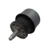 Lagerung, Motor hinten unten CORTECO 49205638 Bild Lagerung, Motor hinten unten CORTECO 49205638