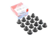 Dichtungssatz, Ventilschaft CORTECO 19034886