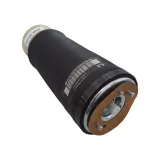 Luftfeder, Fahrwerk Hinterachse links CORTECO 49430498