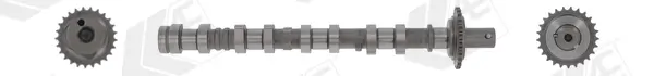 Nockenwelle Eingang AE CAM1041