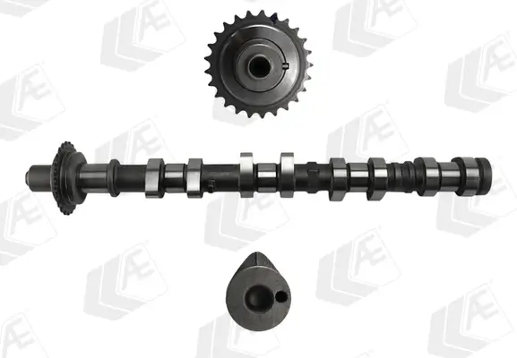 Nockenwelle Eingang AE CAM1056
