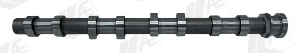 Nockenwelle Eingang AE CAM1058