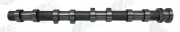 Nockenwelle Eingang AE CAM1058
