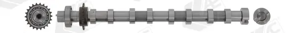 Nockenwelle Eingang AE CAM1062