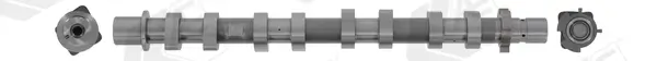 Nockenwelle Eingang AE CAM1064