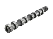 Auslassventil AE V94574