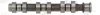 Nockenwelle Eingang AE CAM918