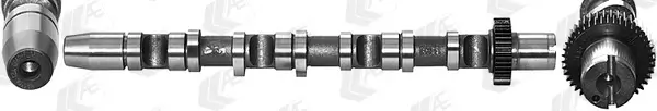 Nockenwelle für Zylinder 1-3 Eingang AE CAM934