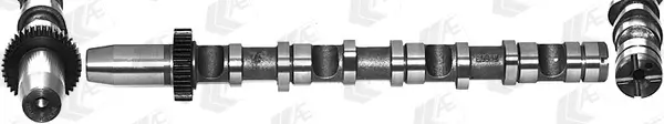 Nockenwelle für Zylinder 4-6 Eingang AE CAM935