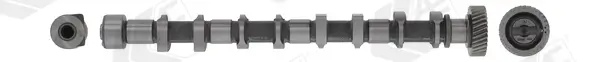 Nockenwelle Eingang AE CAM946