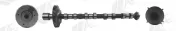 Nockenwelle Eingang AE CAM973