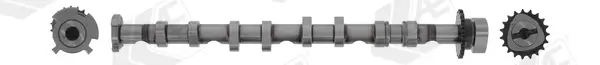 Nockenwelle Eingang AE CAM981