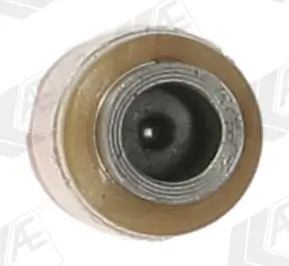 Ventilstößel Auslassseite Einlassseite AE FOL119 Bild Ventilstößel Auslassseite Einlassseite AE FOL119