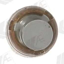 Ventilstößel Auslassseite Einlassseite AE FOL119 Bild Ventilstößel Auslassseite Einlassseite AE FOL119