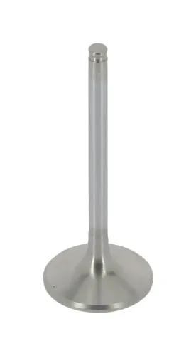 Einlassventil AE V91445 Bild Einlassventil AE V91445