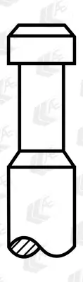 Einlassventil AE V91485 Bild Einlassventil AE V91485
