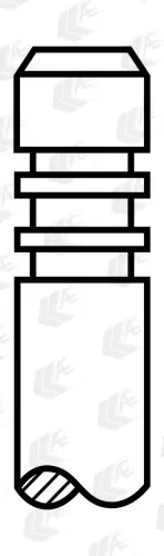 Einlassventil AE V94091 Bild Einlassventil AE V94091