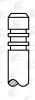 Auslassventil AE V95229 Bild Auslassventil AE V95229