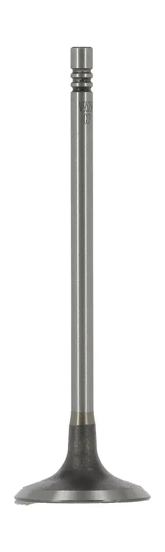 Einlassventil AE V95254